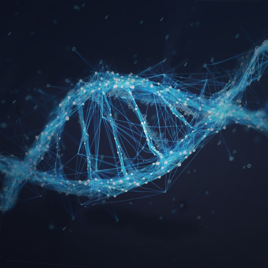 genetic evolutionary algorithm digital DNA
